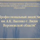 Лискинский ЖД лицей им.А.К.Лысенко, 2009 год - NovATrans R&D Center